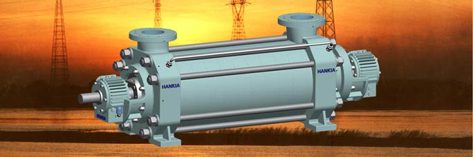 ring section multistage pumps for your high pressure system