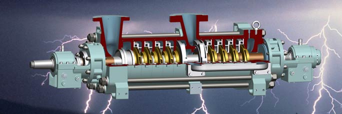 ring section pump with back-to-back stacked impellers