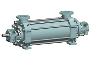 API610 pump, BB4, multistage ring section pump, high pressure pump