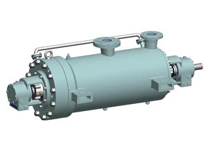 Barrel case pump, extra high pressure pump, API610, ISO13709, BB5